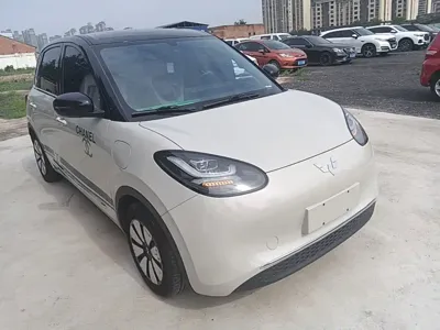 Wuling Bingo