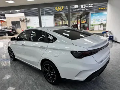 Geely Binrui