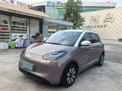 Wuling Bingo