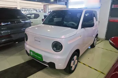 Geely Galaxy Panda