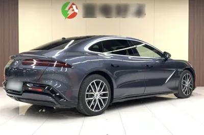 Denza Z9