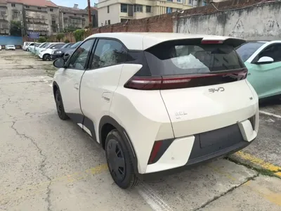 BYD Seagull