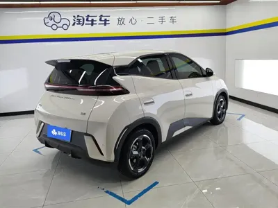 BYD Seagull