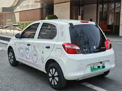 Dongfeng ER30