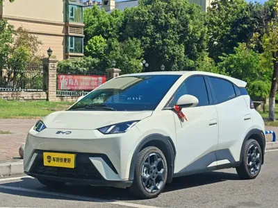 BYD Seagull