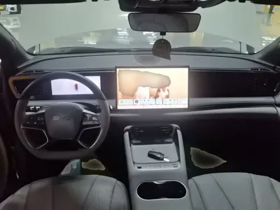 BYD 海狮06
