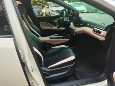BYD Seagull