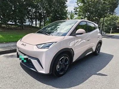 BYD Seagull