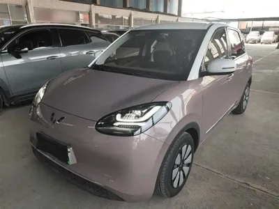 Wuling Bingo