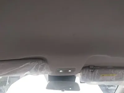 NETA Neta V