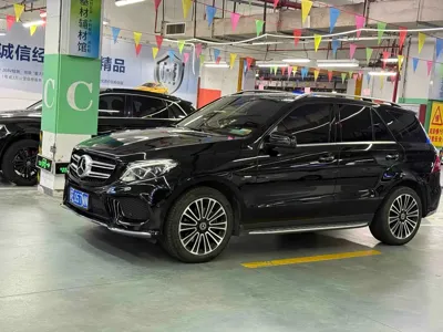 Mercedes-Benz 奔驰GLE(进口)