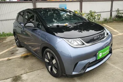 BYD Dolphin