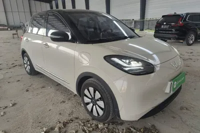 Wuling Bingo