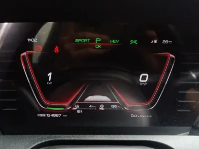 BYD Pro New Energy