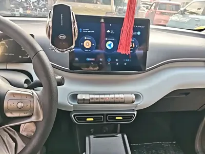 BYD Seagull