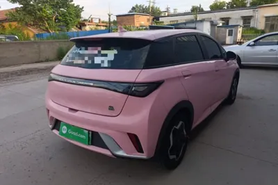 BYD Dolphin