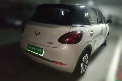 Wuling Bingo