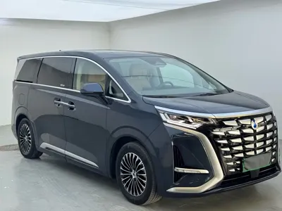Denza Denza D9