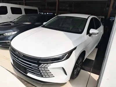 BYD Destroyer 05