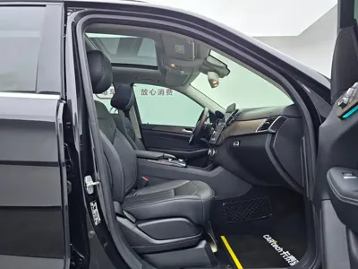 Mercedes-Benz 奔驰GLE(进口)