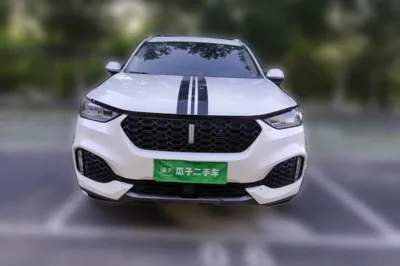 WEY VV6