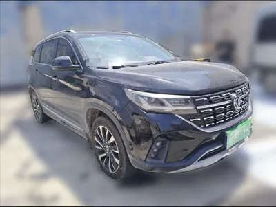 Forthing T5