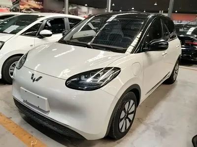 Wuling Bingo