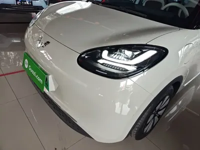 Wuling Bingo
