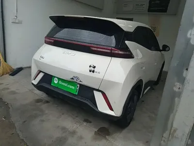 BYD Seagull