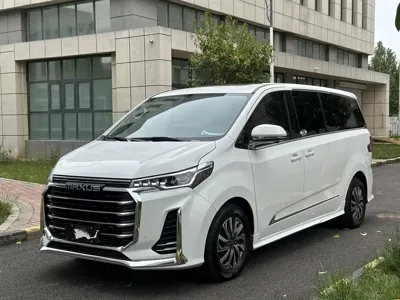 大通 G20