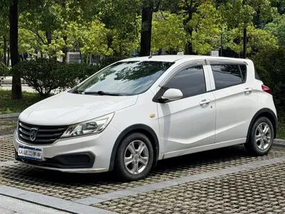 Baojun 310