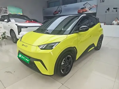 BYD Seagull