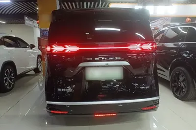 Denza D9
