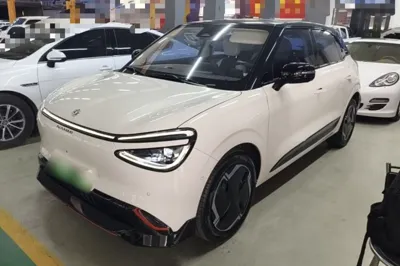 Dongfeng NAMMI 01