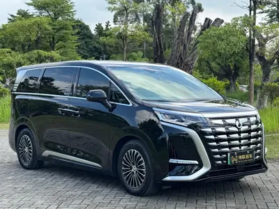 Denza Denza D9