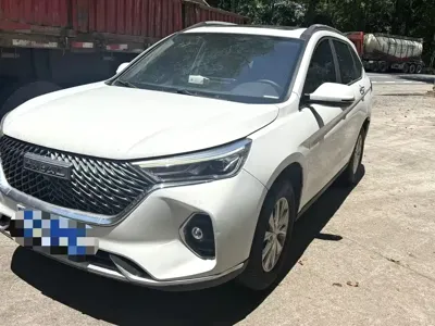 Haval M6