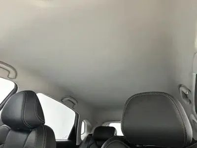 NETA Neta V