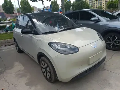 Wuling Bingo