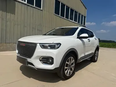 Haval H2s