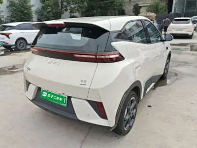 BYD Seagull