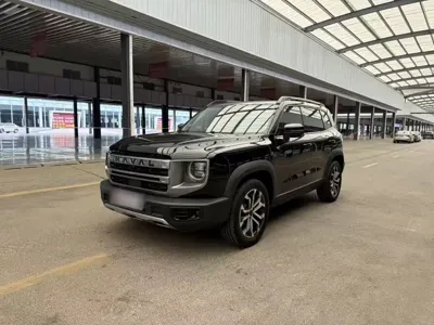 Haval Big Dog