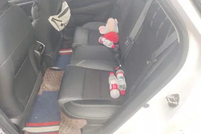 Geely Auto Binray