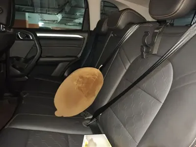 Haval Big Dog
