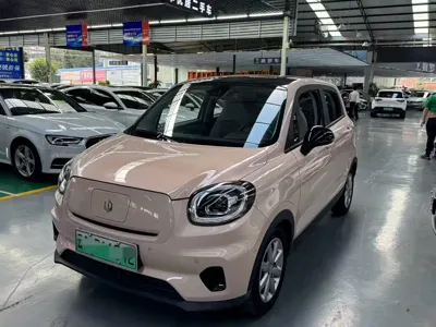 Leapmotor Leapmotor T03