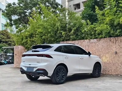 Fengxing Fengxing T5 EVO