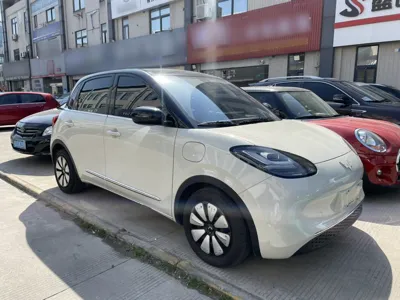 Wuling Bingguo