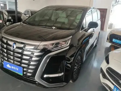 Denza Denza D9