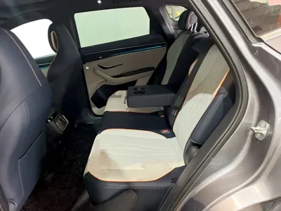 BYD PLUS New Energy