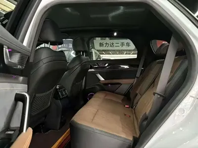 BYD Tang New Energy
