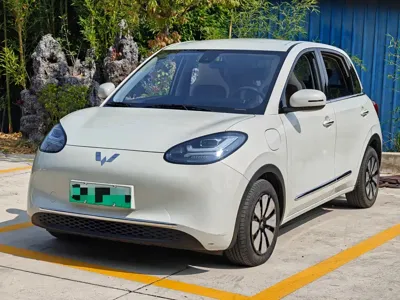 Wuling Bingo